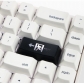 OEM Profile ABS Backlit Keycaps Laser Carving for Cherry MX Switch 2.25U Enter / 2U Backspace